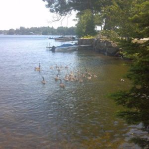 Summer at the Lake House 2