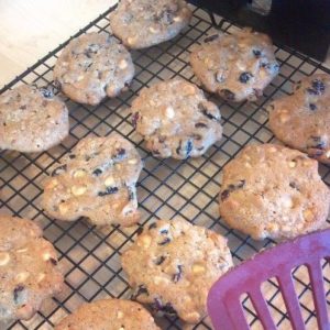 Favorite Cookie Recipes at the Lake House at Ferry Point 1