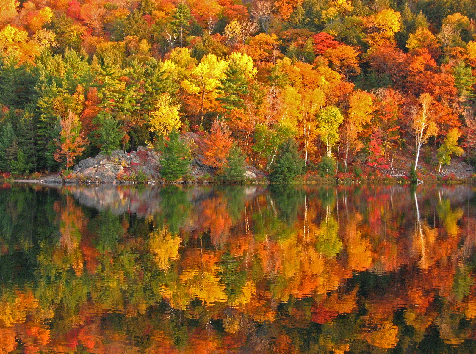 The Best Places To See Fall Foliage In New Hampshire s Lakes Region