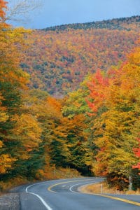 Highway and fall foliage in White Mountain