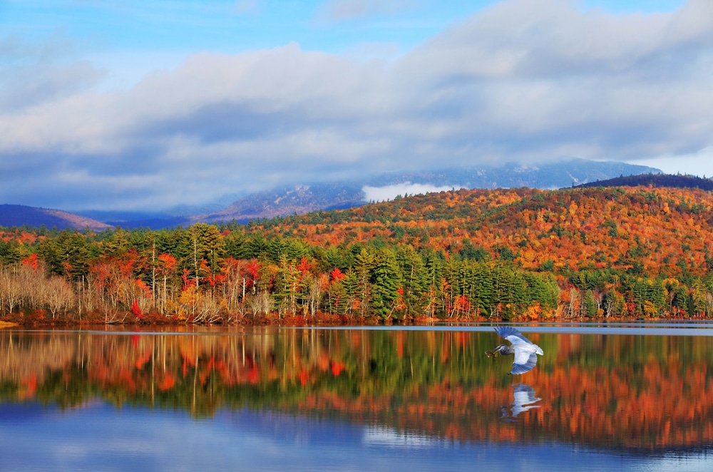 fall foliage ringing the lakes - one of the best ways to enjoy New Hampshire fall foliage, apart from hiking Mount Major