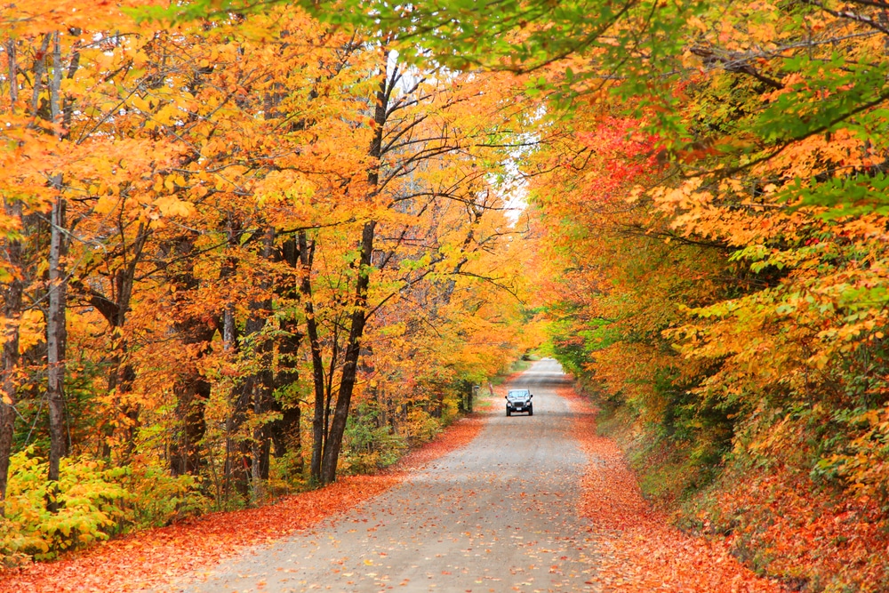 Driving through the best New Hampshire Fall Foliage